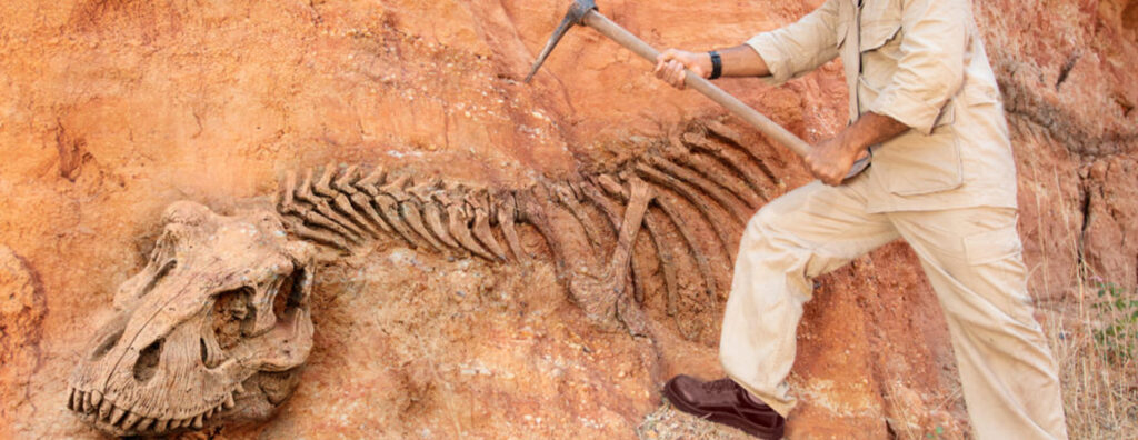 مهاجرت با رشته روانشناسی